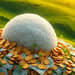 A Magia dos Reinvestimentos: Multiplique Seu Capital Sem Esforço